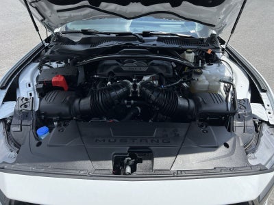 2024 Ford Mustang Dark Horse