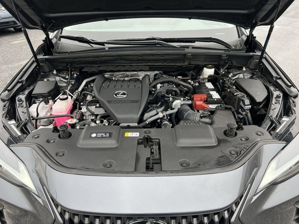 2025 Lexus NX 350 Base