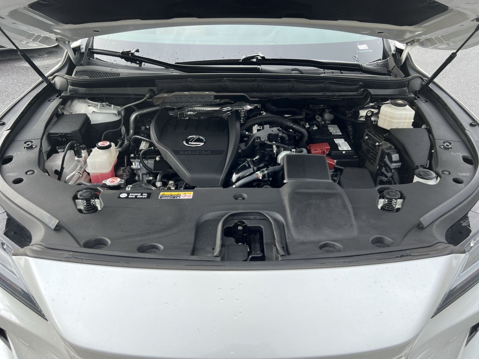 2024 Lexus RX 350 Premium