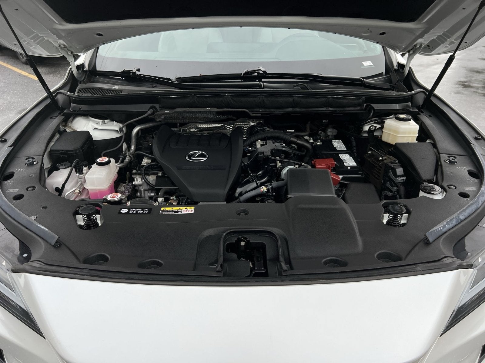2024 Lexus RX 350 Premium