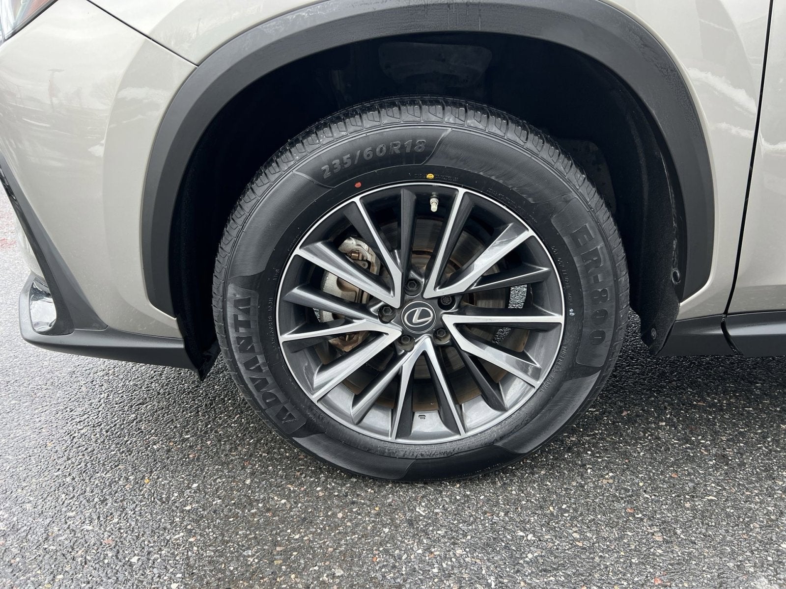 2023 Lexus NX 350 Premium