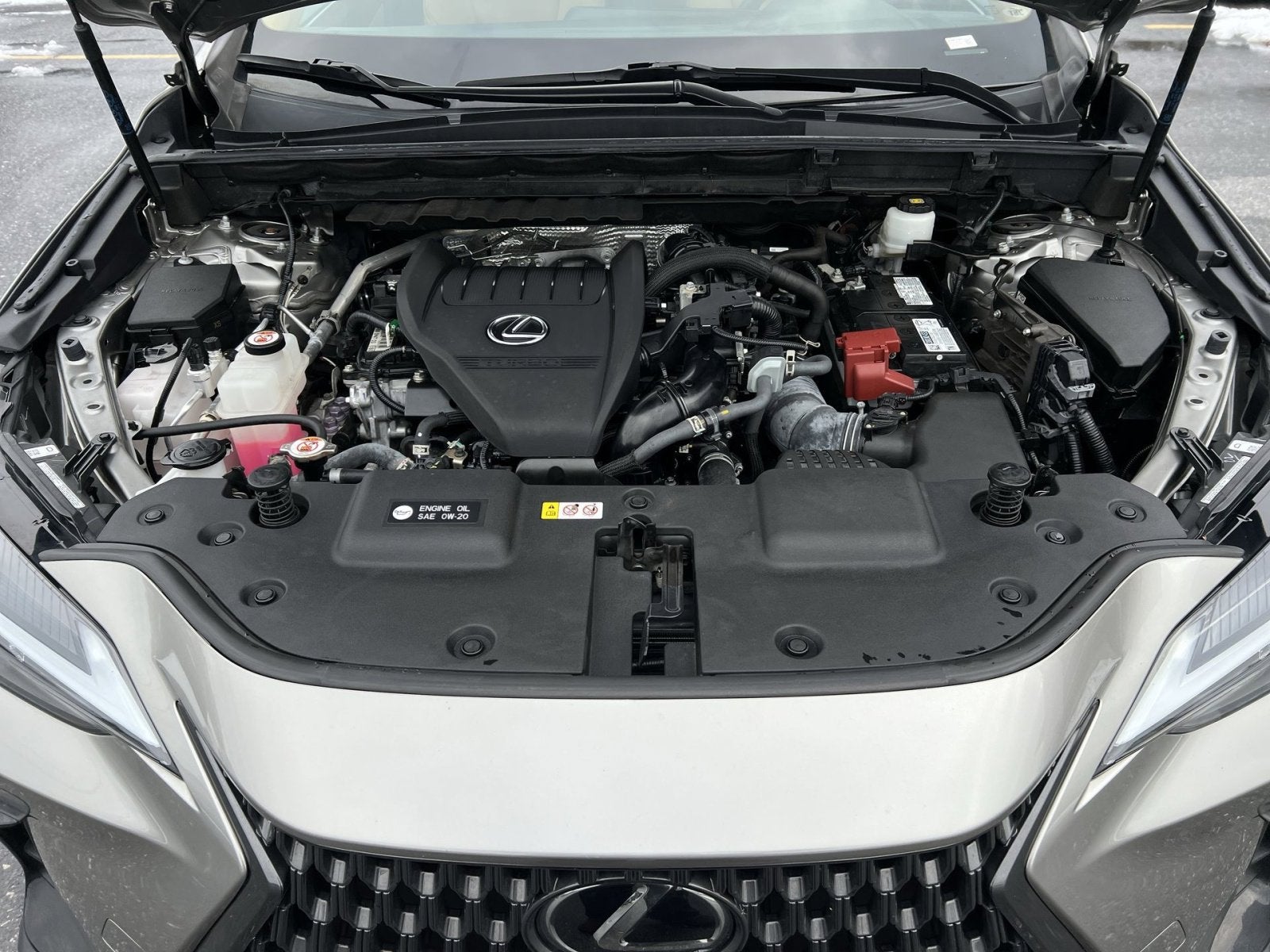 2023 Lexus NX 350 Premium