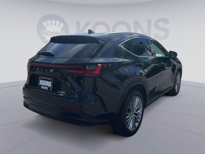 2025 Lexus NX 350 Premium