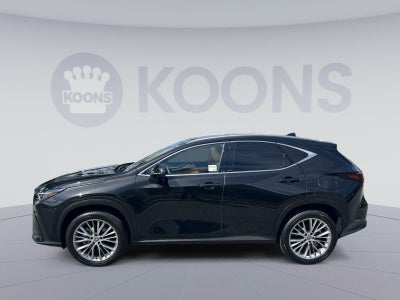 2025 Lexus NX 350 Premium