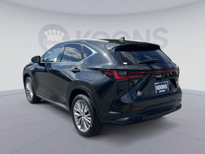 2025 Lexus NX 350 Premium