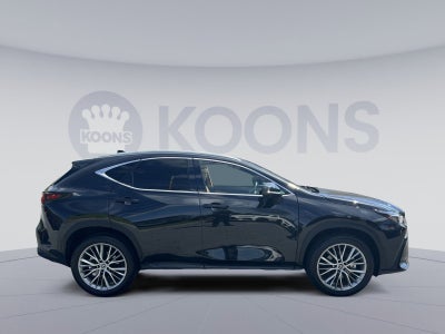 2025 Lexus NX 350 Premium