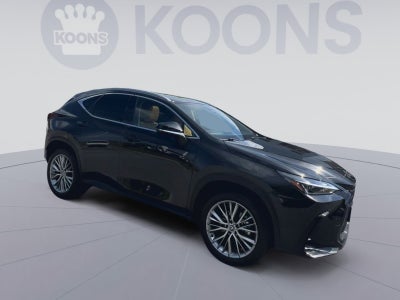 2025 Lexus NX 350 Premium