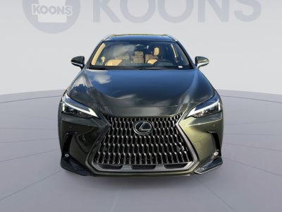 2025 Lexus NX 350 Premium