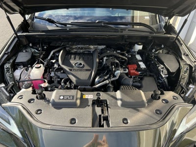 2025 Lexus NX 350 Premium