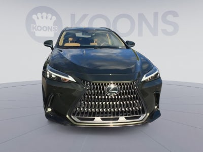 2025 Lexus NX 350 Premium