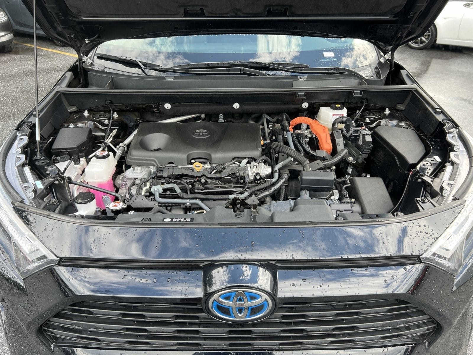 2024 Toyota RAV4 Hybrid XLE Premium