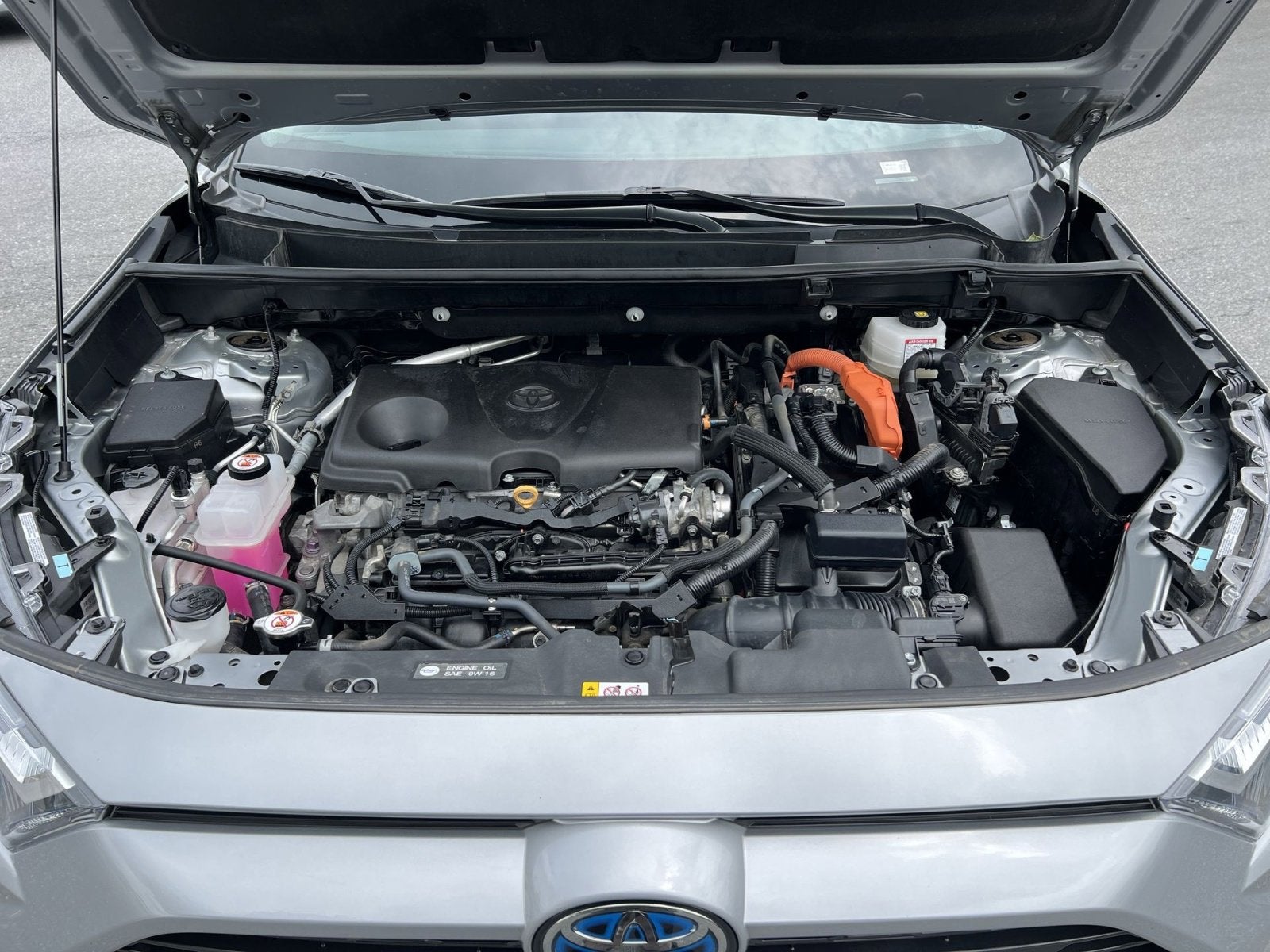 2024 Toyota RAV4 Hybrid XLE Premium