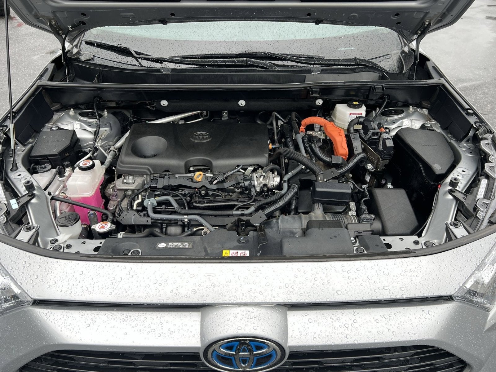 2024 Toyota RAV4 Hybrid XLE