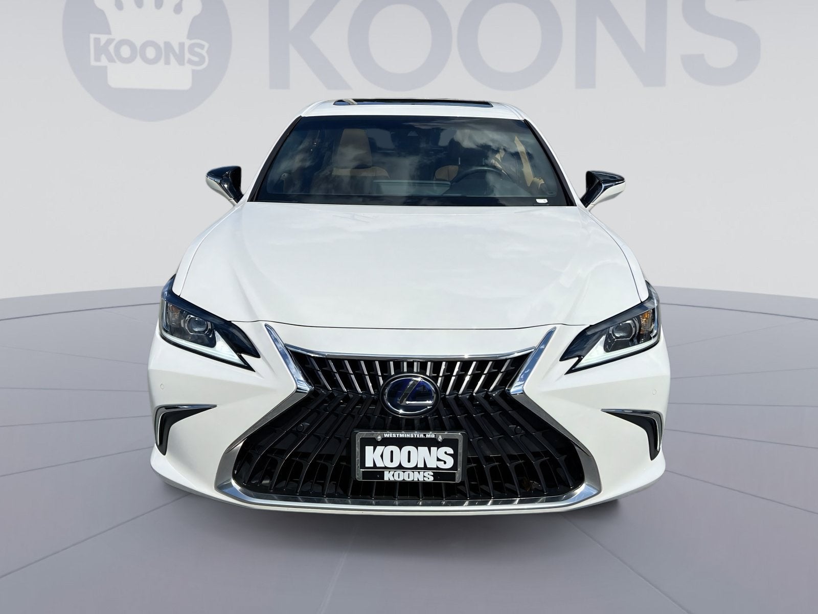 2022 Lexus ES 300h Luxury