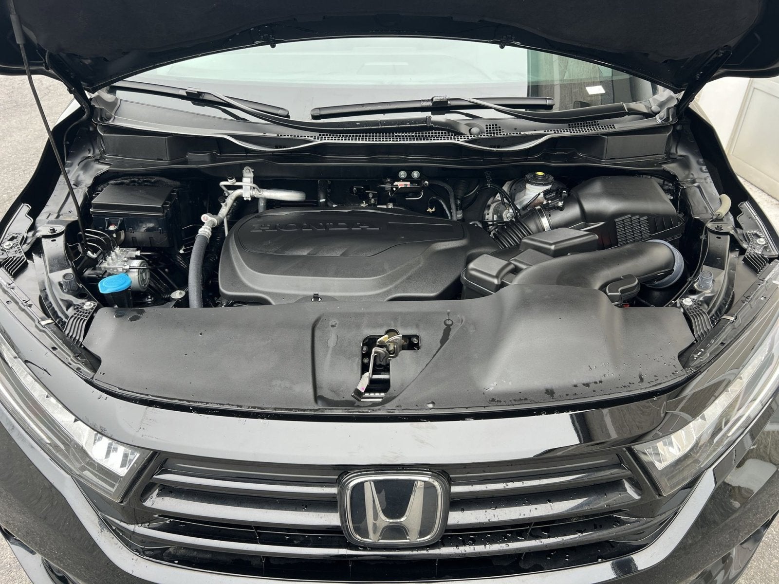 2024 Honda Odyssey Sport