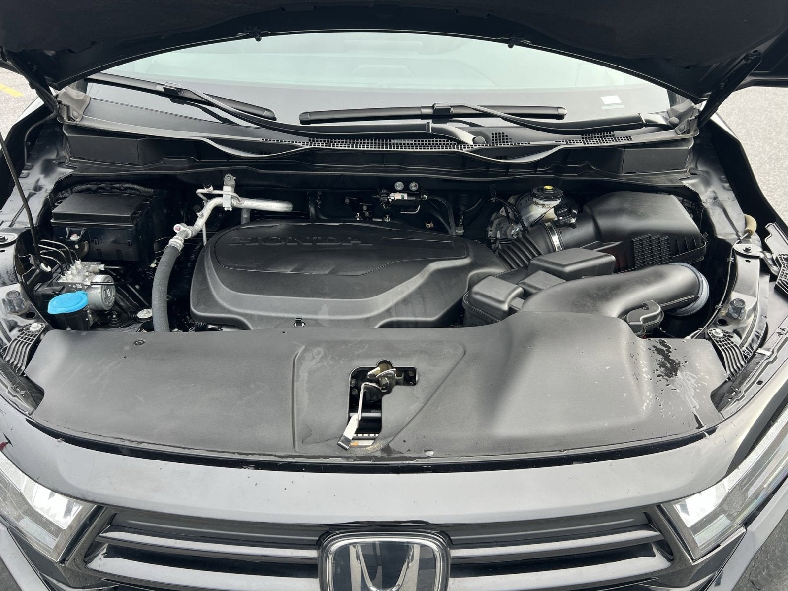 2023 Honda Odyssey Sport