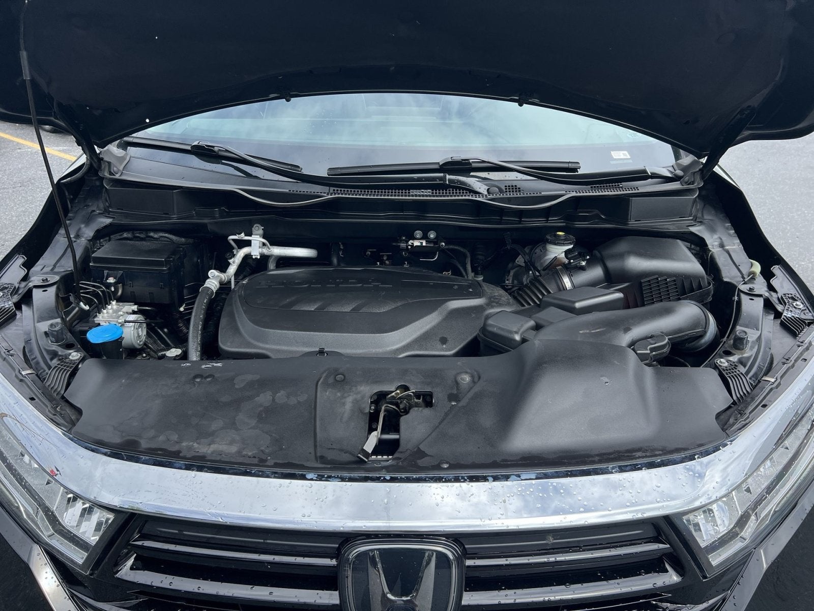 2022 Honda Odyssey Elite