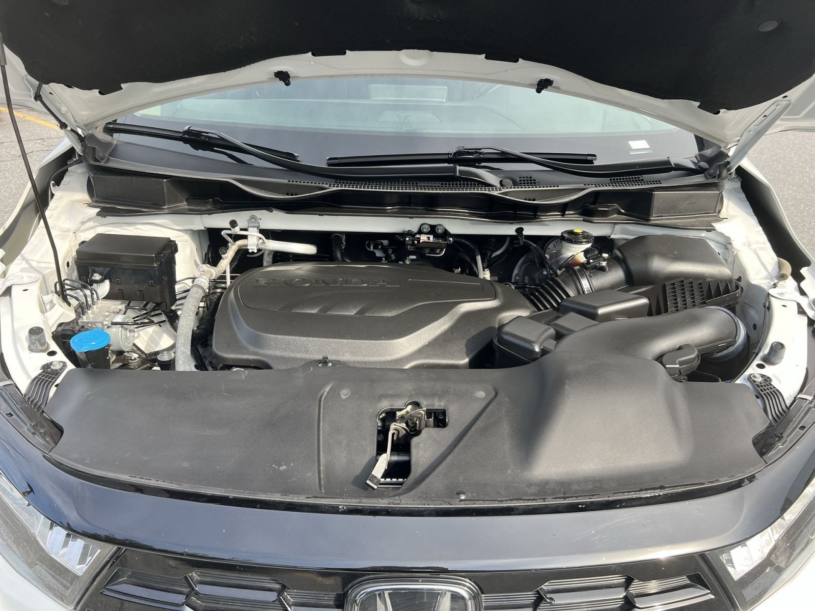 2025 Honda Odyssey Elite