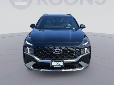 2023 Hyundai Santa Fe Calligraphy