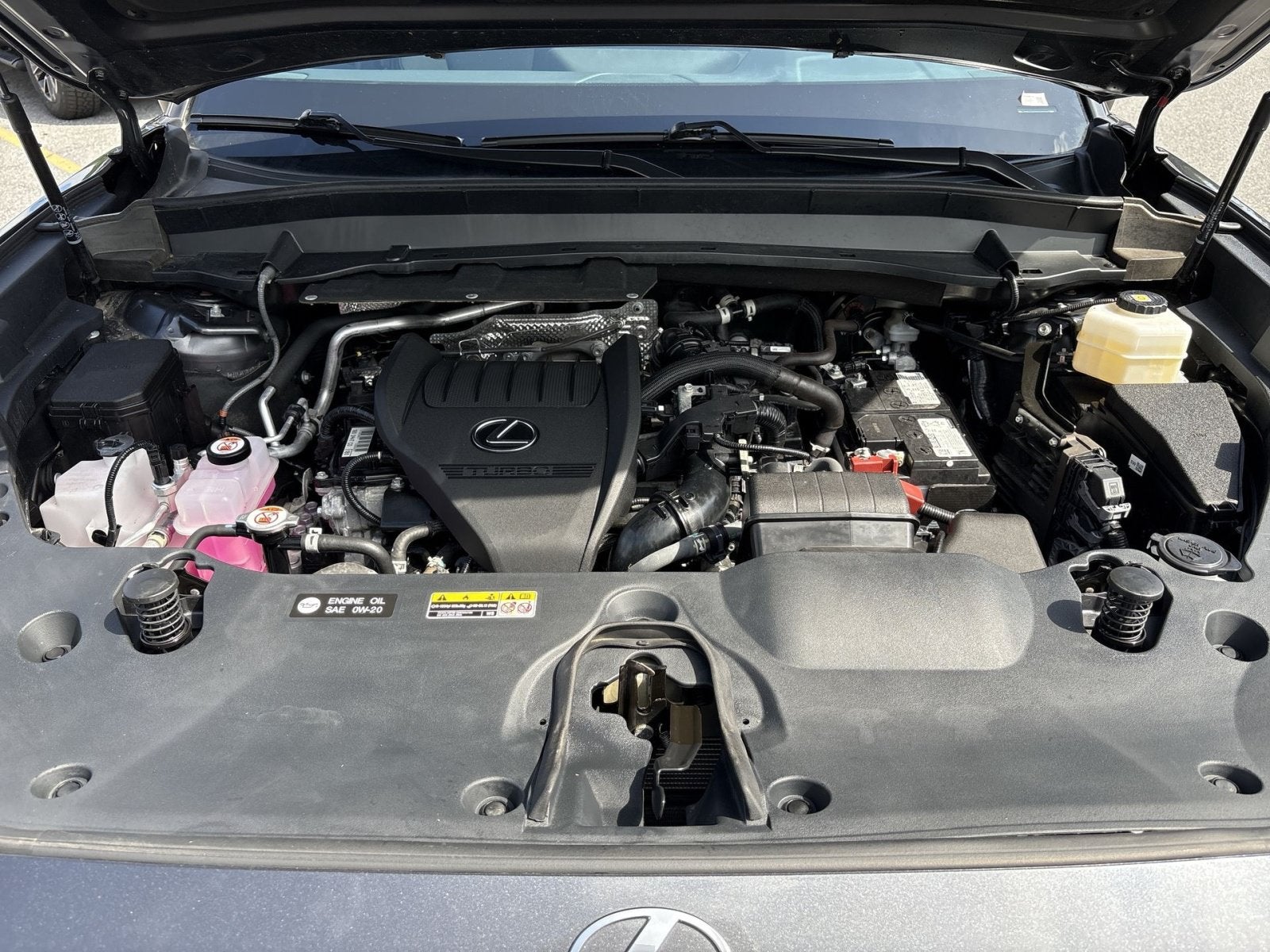 2024 Lexus TX 350 Premium