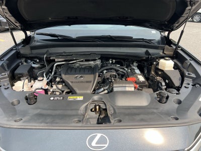 2024 Lexus TX 350 Premium