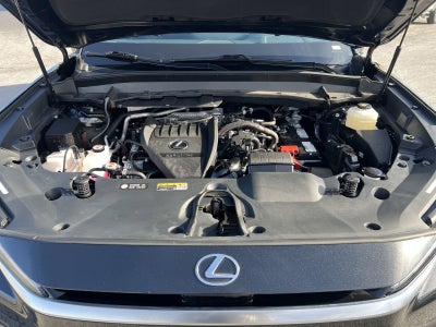 2025 Lexus TX 350 Premium