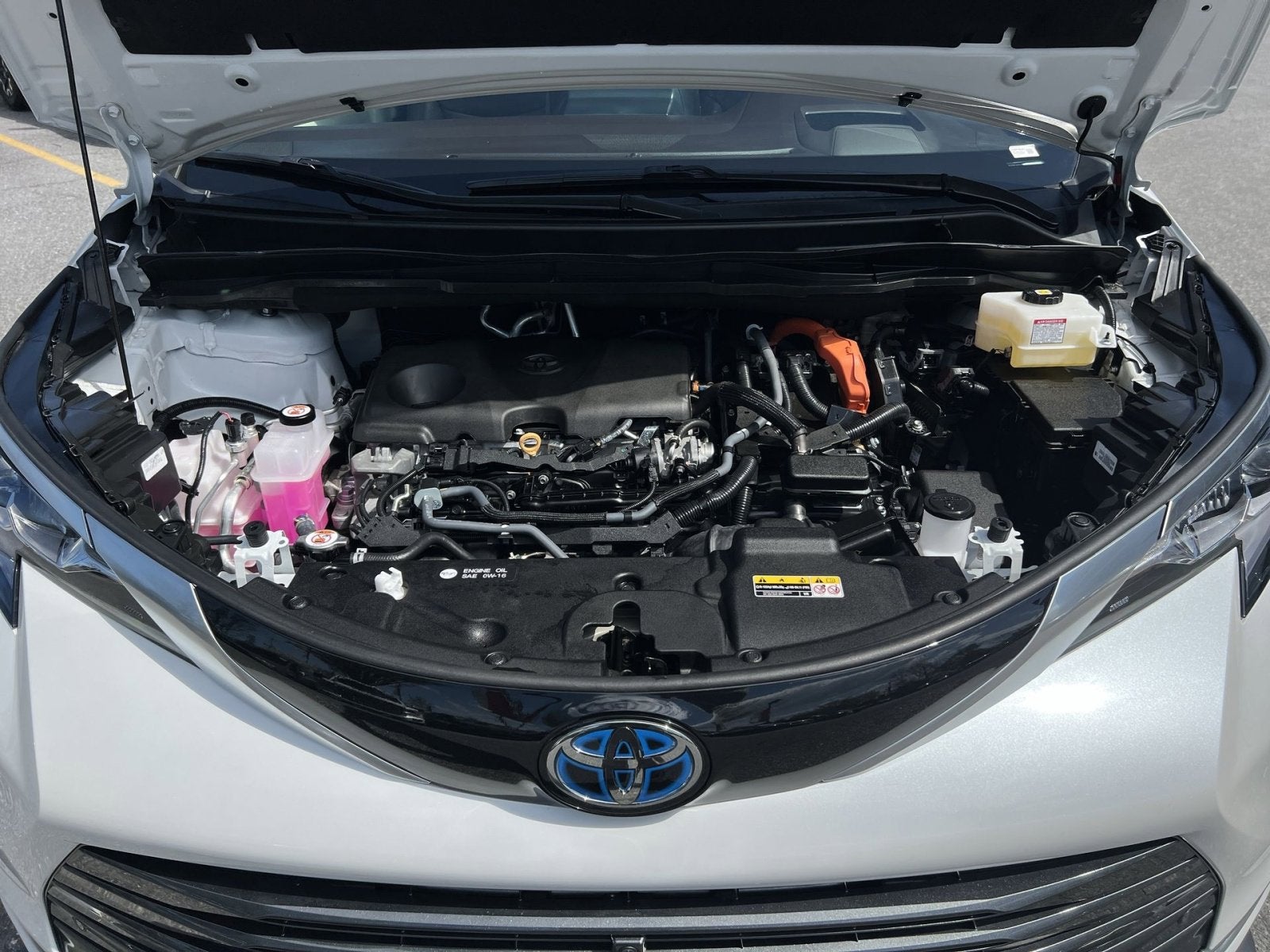 2024 Toyota Sienna Platinum