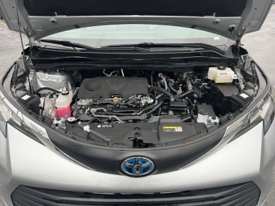 2023 Toyota Sienna XLE