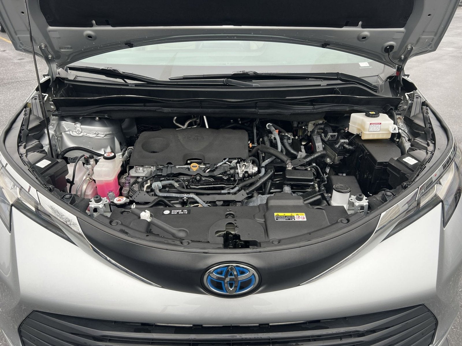 2023 Toyota Sienna XLE