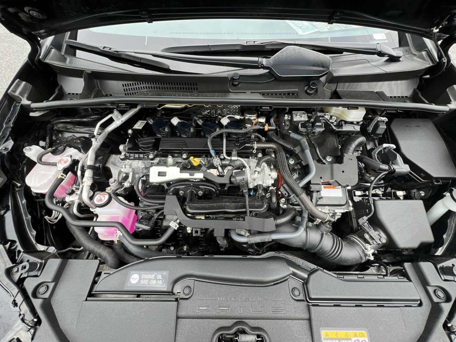 2025 Toyota Prius XLE
