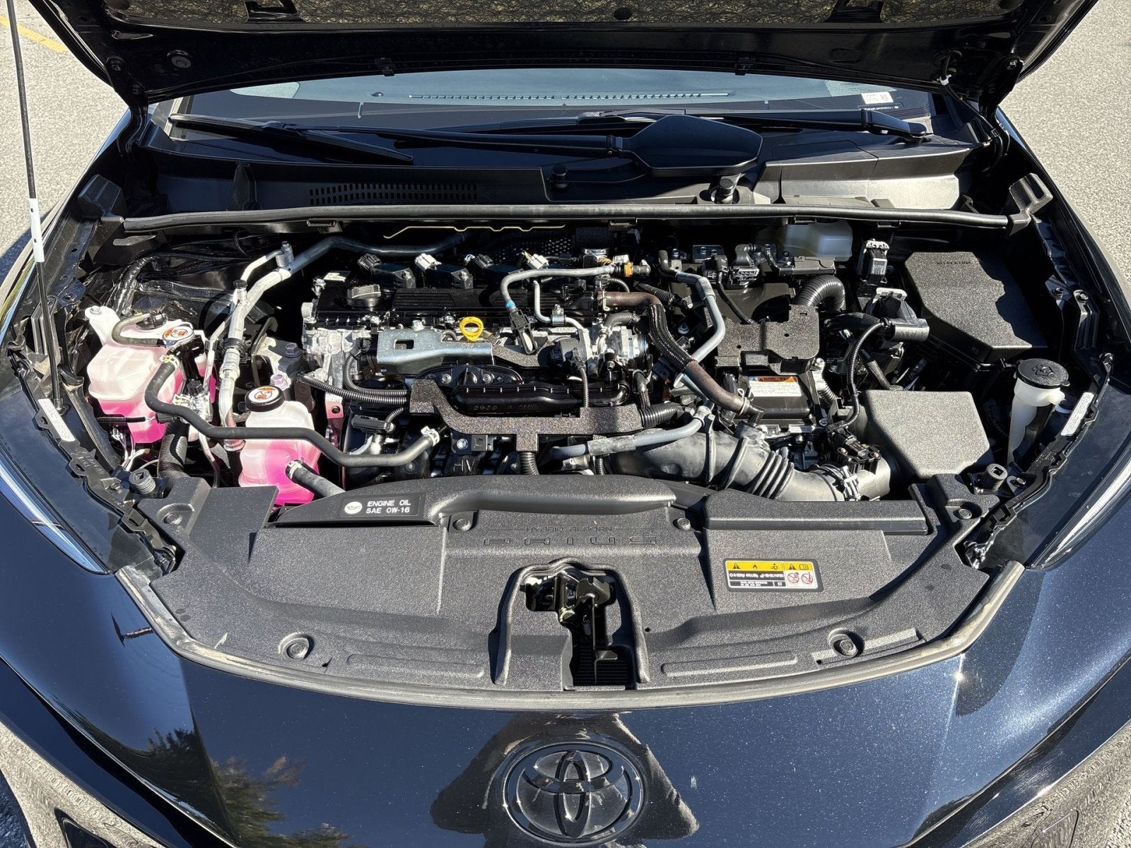 2025 Toyota Prius Nightshade