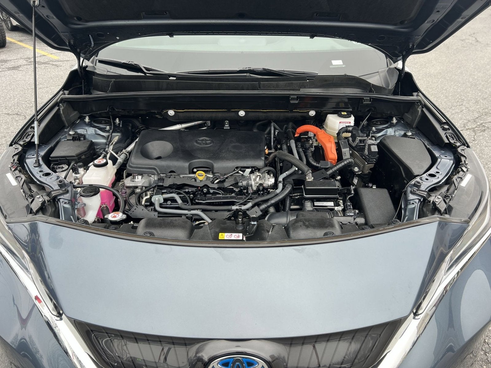 2023 Toyota Venza Limited