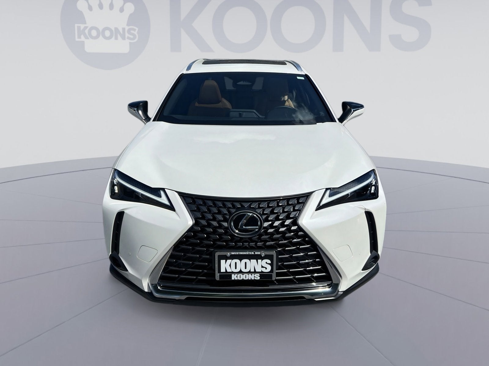 2025 Lexus UX 300h Premium