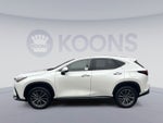 2025 Lexus NX 350h Premium