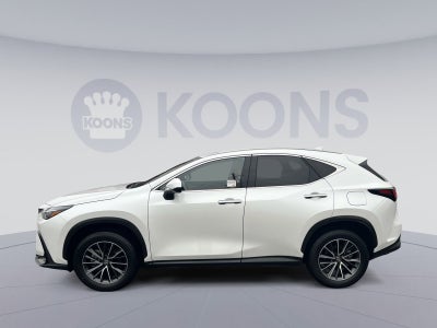 2025 Lexus NX 350h Premium