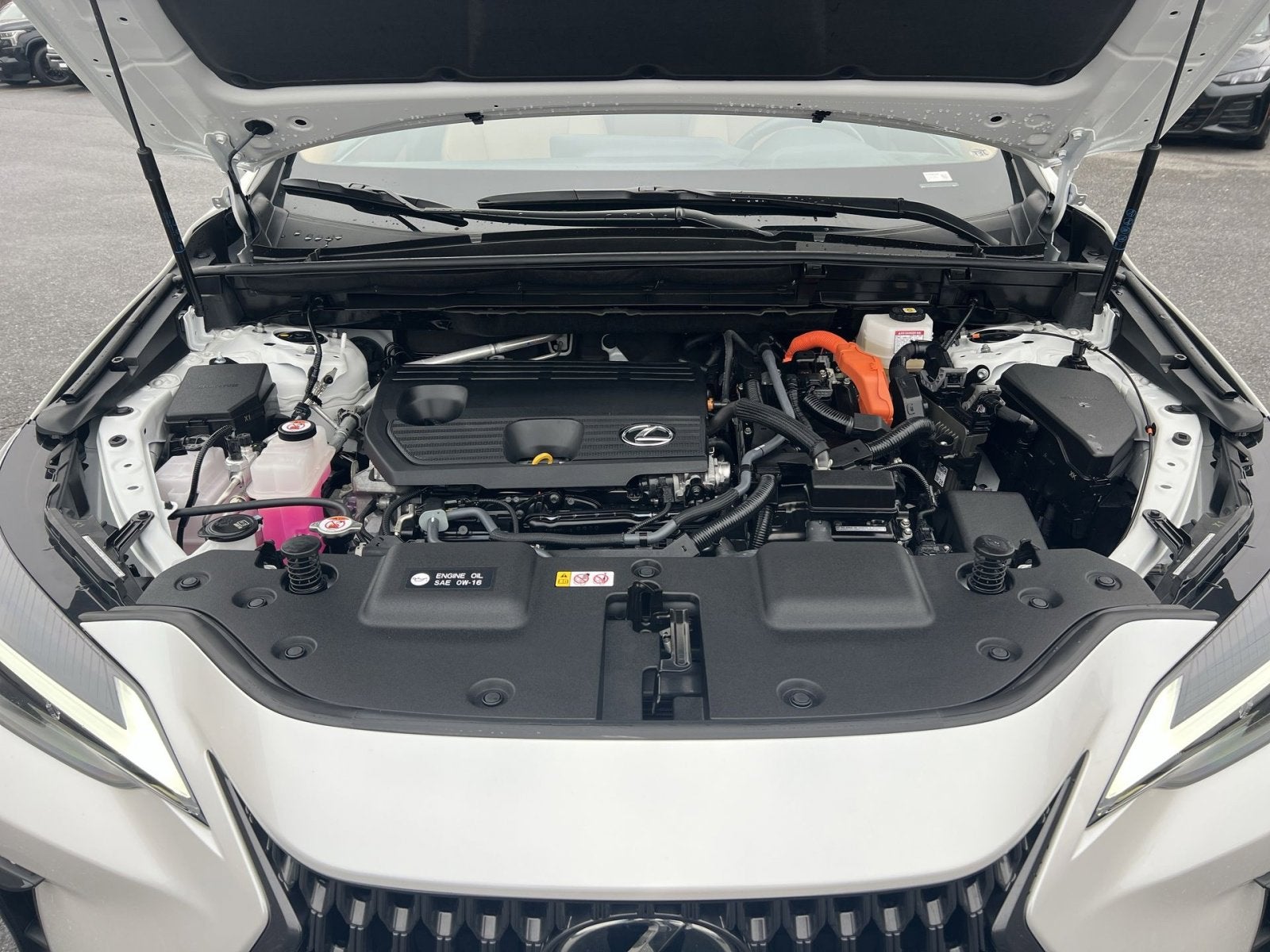 2025 Lexus NX 350h Premium