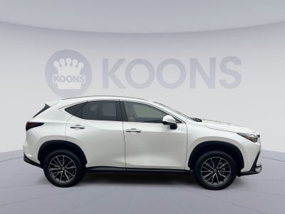 2025 Lexus NX 350h Premium