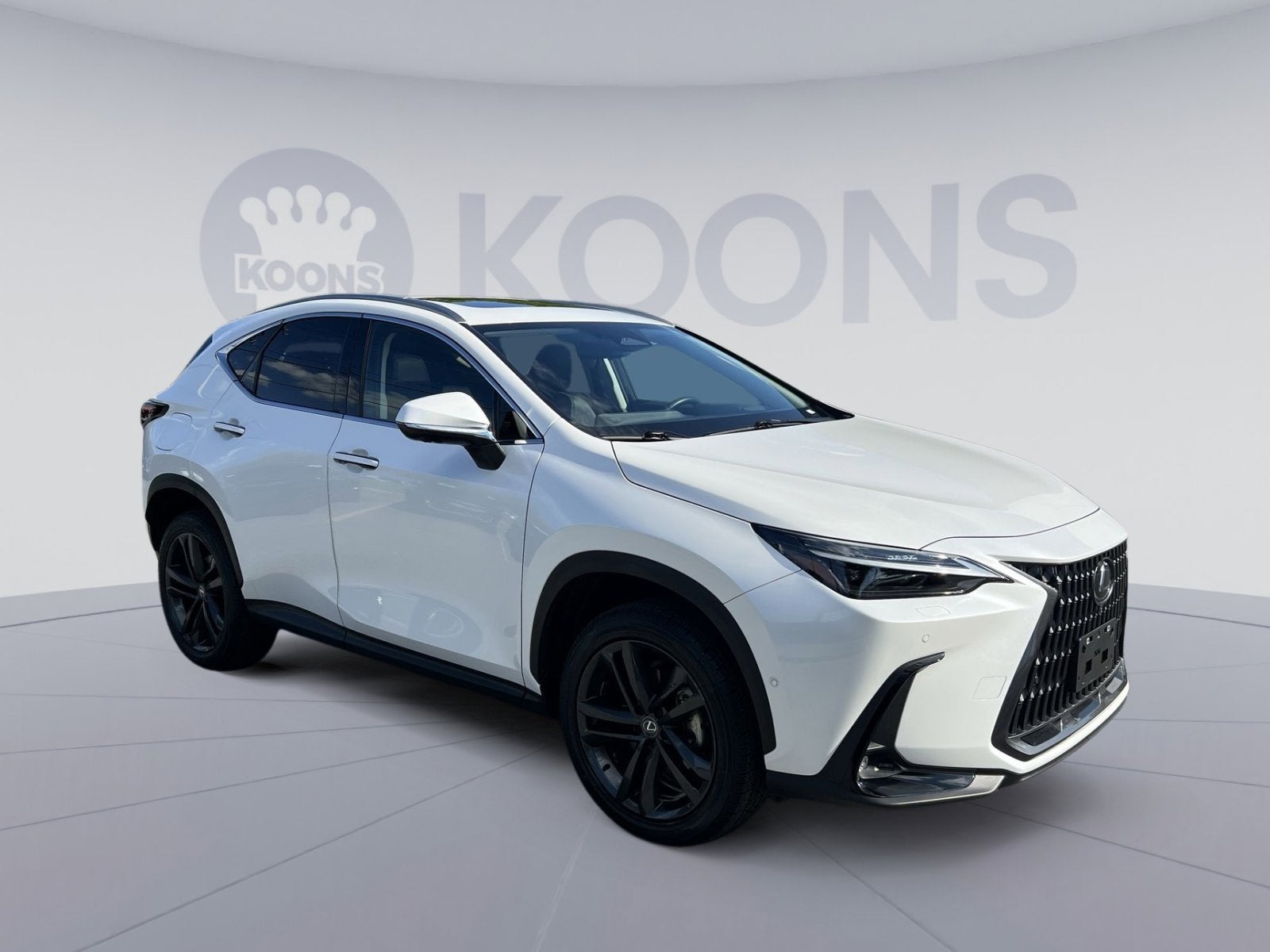 2024 Lexus NX 450h+ Luxury