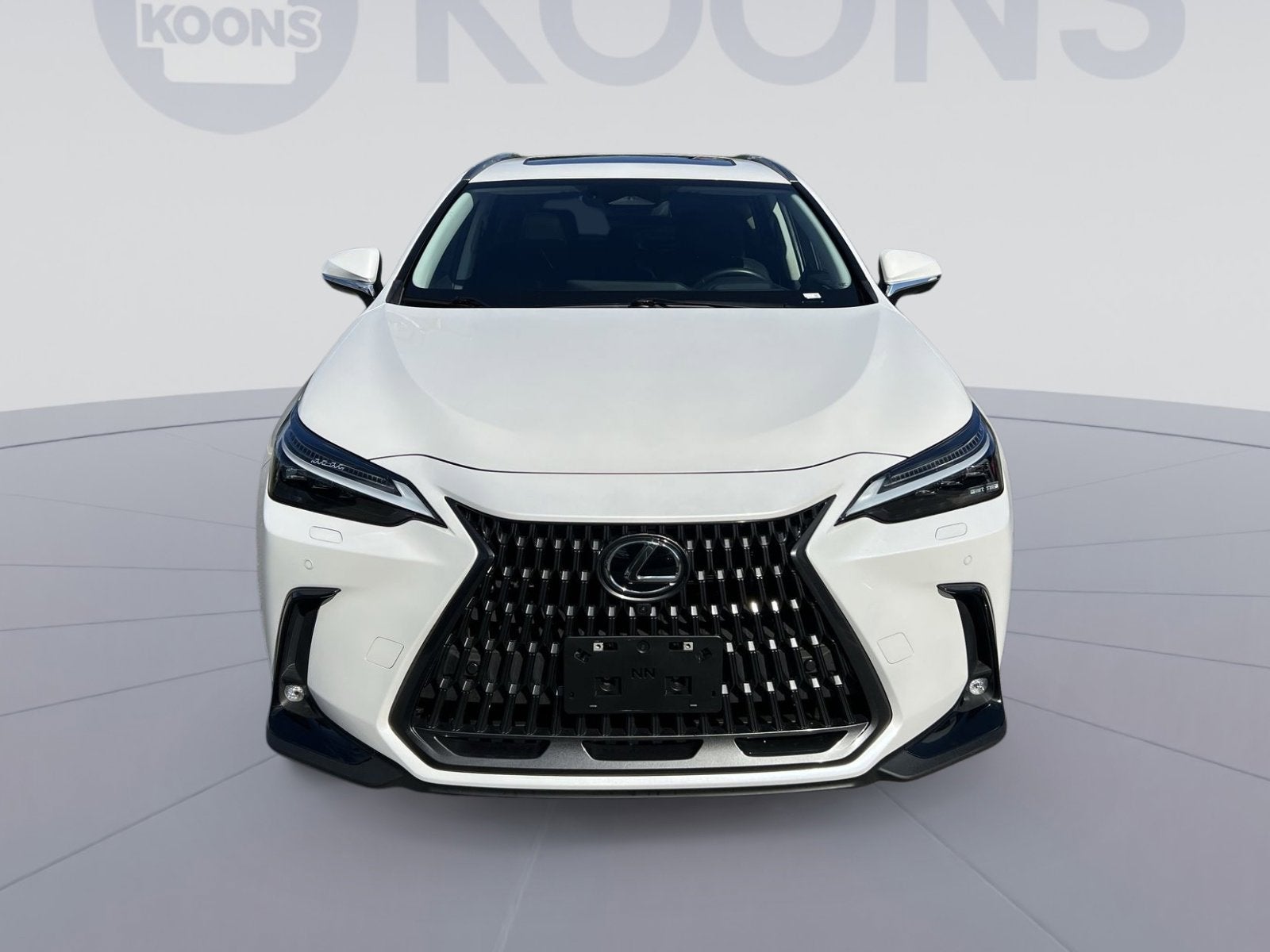 2024 Lexus NX 450h+ Luxury