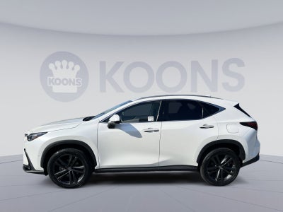 2024 Lexus NX 450h+ Luxury