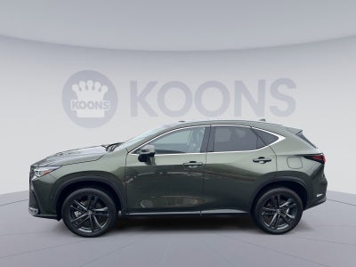 2024 Lexus NX 450h+ Luxury