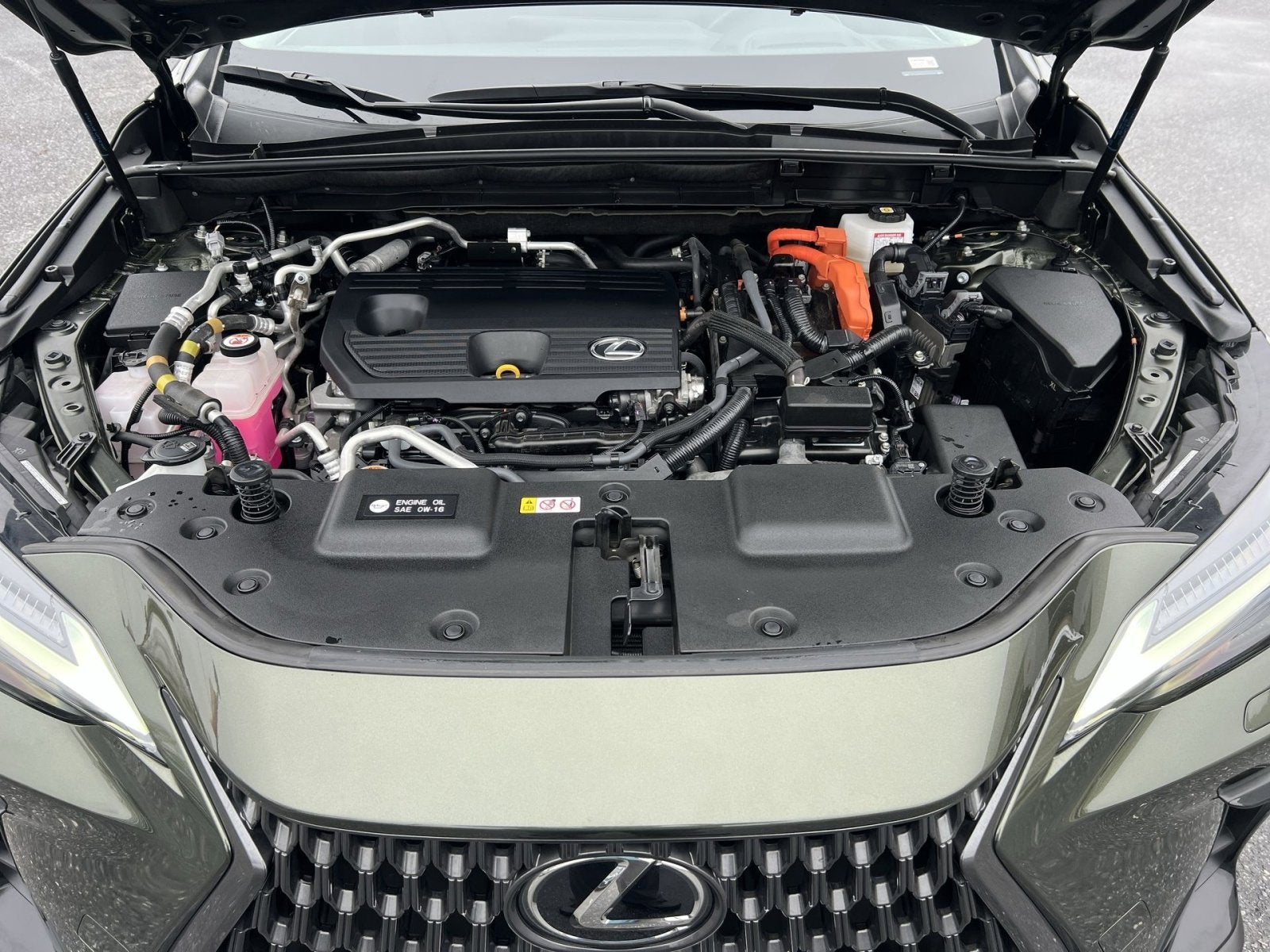 2024 Lexus NX 450h+ Luxury