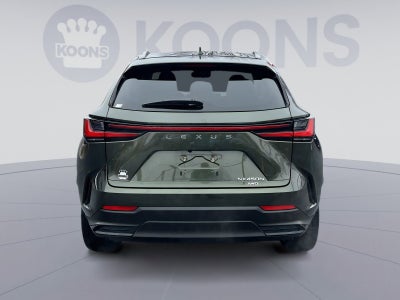 2024 Lexus NX 450h+ Luxury