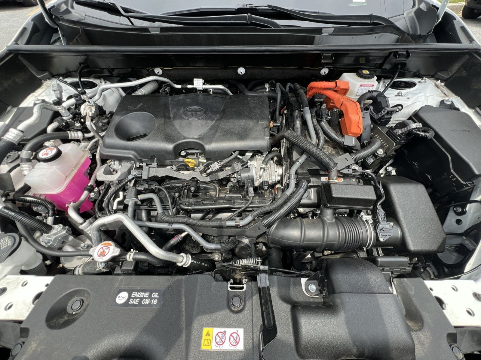 2024 Toyota RAV4 Prime SE