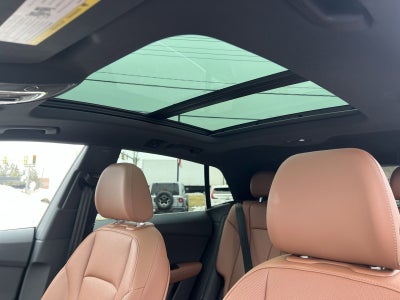 2025 Audi Q8 55 Premium Plus