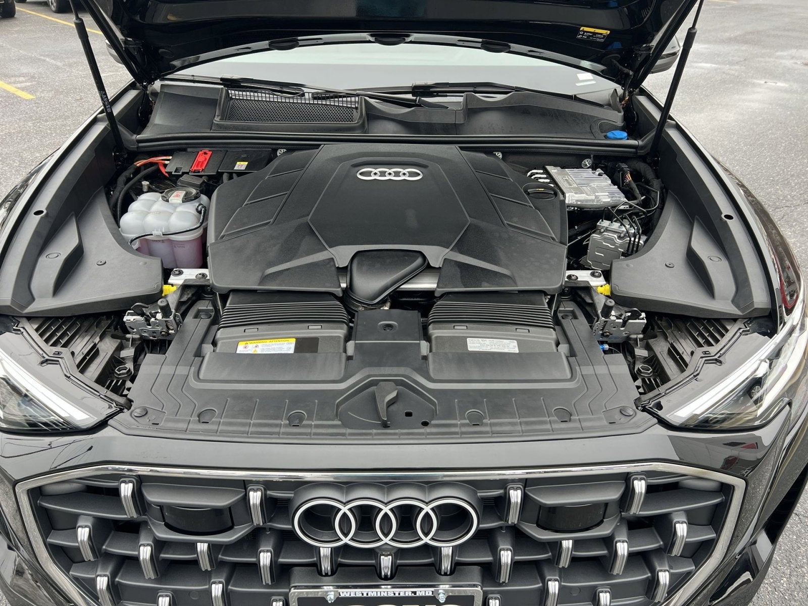 2025 Audi Q8 55 Premium Plus