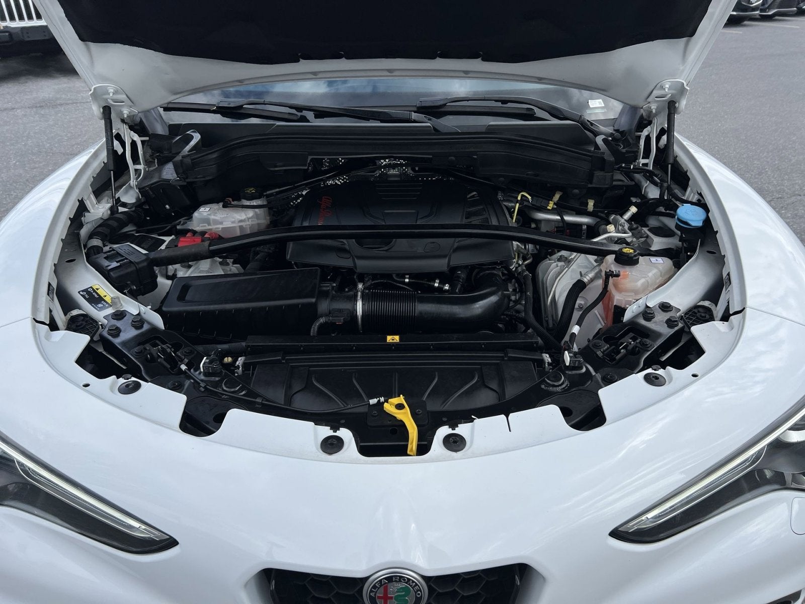 2023 Alfa Romeo Stelvio Veloce